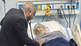 Brar being checked on in the hospital after coming 'back to life.'