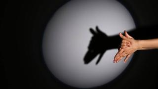 someone making a shadow puppet of a dog in a stark ring of light.