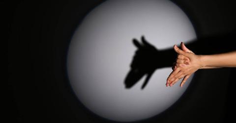 someone making a shadow puppet of a dog in a stark ring of light.