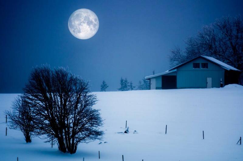 A full moon rising over a snow-covered field in front of a house, a small, leafless tree in the foreground.