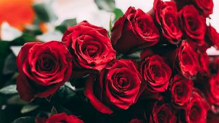A side shot of a bouquet of red roses.