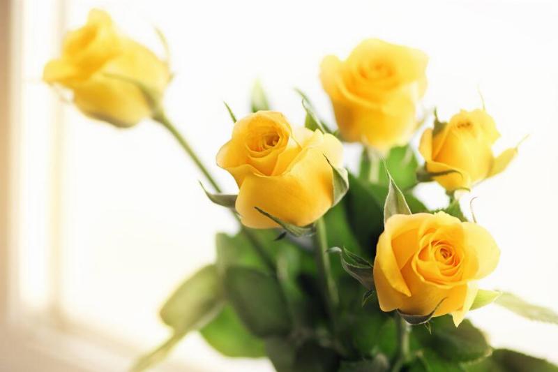 A single yellow rose that's sticking out of a bouquet.