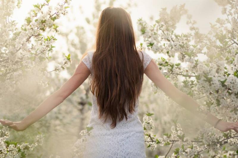 A woman walking through thick branches of white flowers.