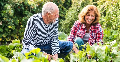 A couple smiling and chatting as they're crouched down gardening.