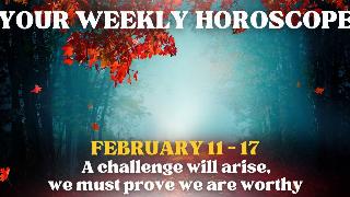 A dark forest path lined with trees with red leaves, a blue glowing light in the mist in the path's distance. There's text that reads, 