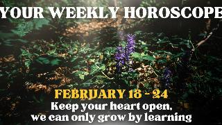 A single purple wildflower growing among green undergrowth in a forest. There's text that reads, 