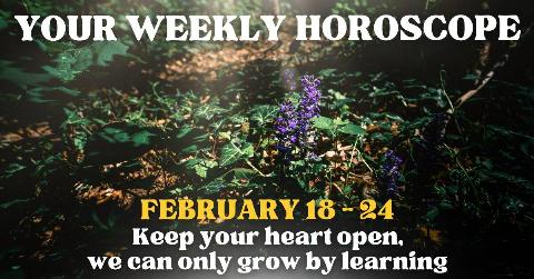 A single purple wildflower growing among green undergrowth in a forest. There's text that reads, 