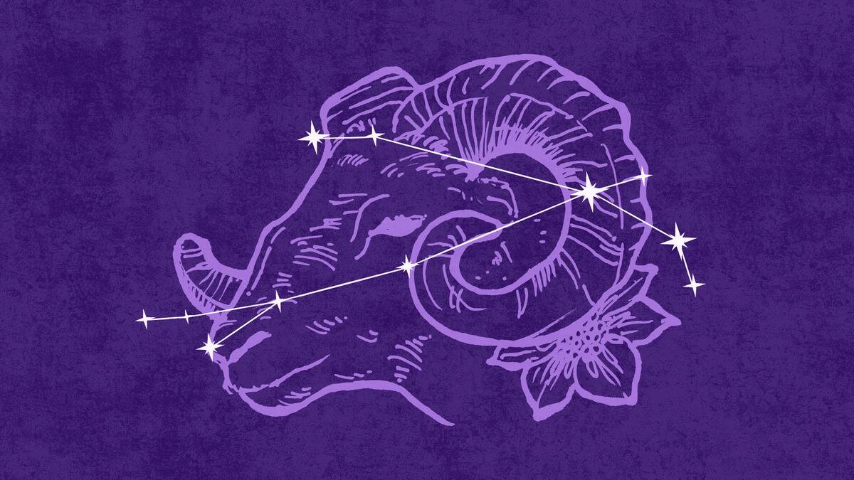 On a dark purple textured background is a light purple illustration of a ram's head. Atop that is an off-white 
graphic depicting the Aries constellation.
