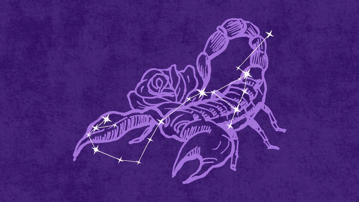  On a dark purple textured background is a light purple illustration of a scorpio with a rose behind it.. Atop that is an off-white  graphic depicting the Scorpius constellation.  