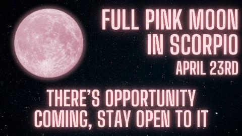 A glowing pink moon against a starry sky. There's also glowing pink text that reads, in all caps, 