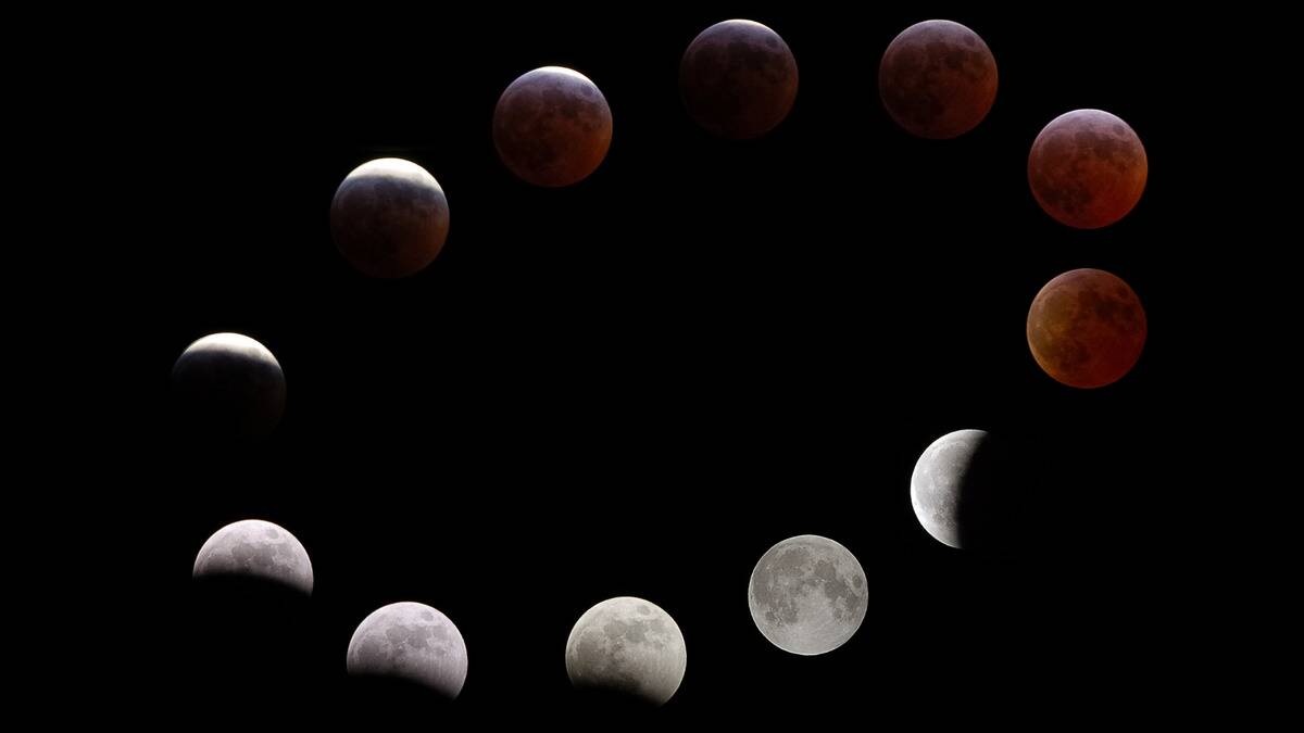 The moon and all its phases positioned in an oval shape.