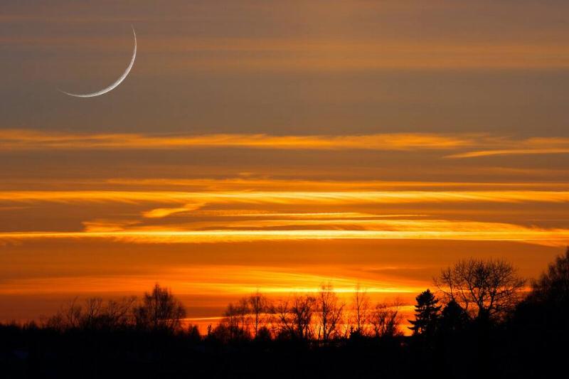 A sliver of a crescent moon visible in a sunrise, silhouettes of trees below.