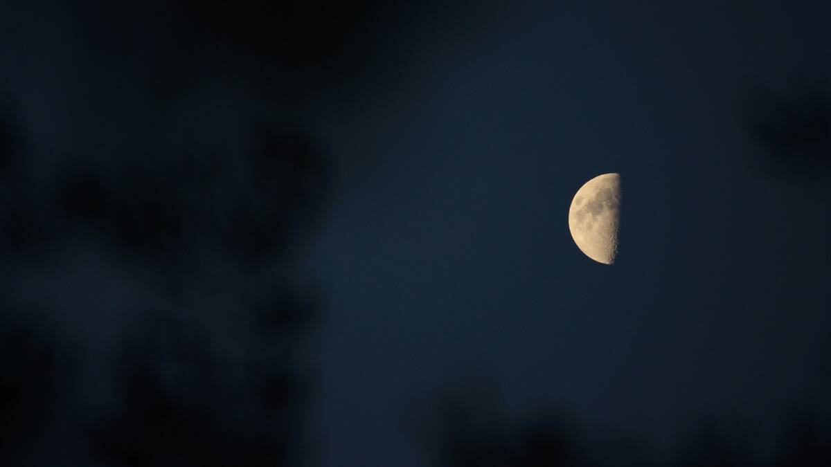 A half moon seen in a dark blue sky.