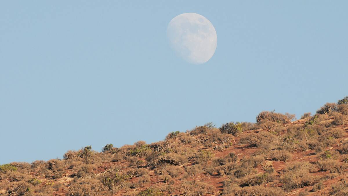 An almost-full moon seen in a ghostly appearance as it sits high in a blue sky, above a desert hill.