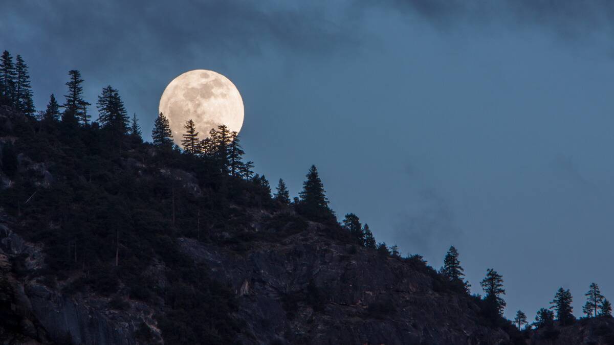 A full moon rising above a hill covered in cedar trees.