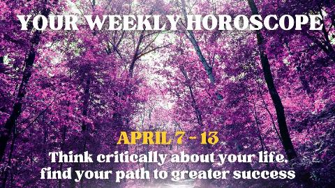 A background of pink-leaved trees against a bright sky has white text on top that reads, 