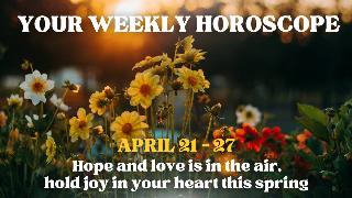 A photo of some wild flowers under the setting sun. There's text that reads, 