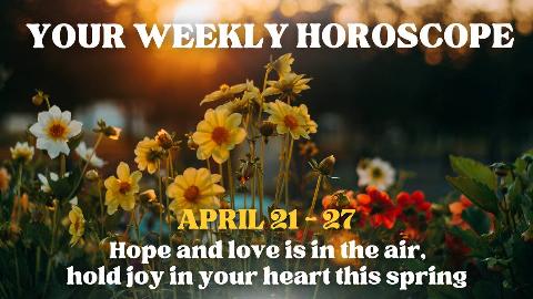 A photo of some wild flowers under the setting sun. There's text that reads, 