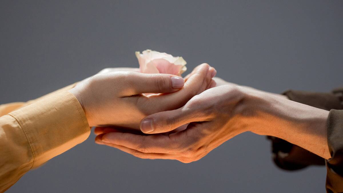 A close shot of two peoples' hands cupped together, holding a blooming rose.
