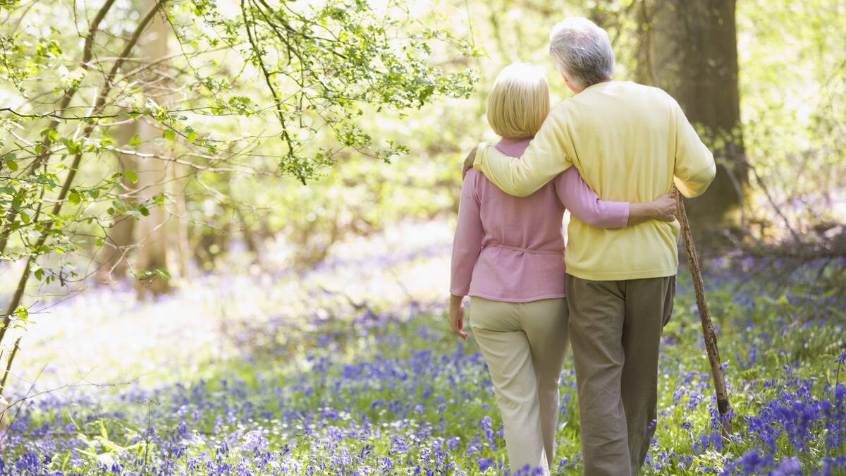 An older couple facing away from the camera, their arms around each other as they walk through a field filled with purple wildflowers.