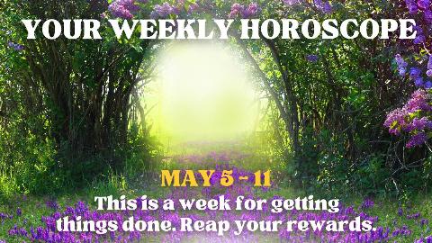 An archway made of trees in a lot of tall grass and purple flowers. There's text on top that reads, 