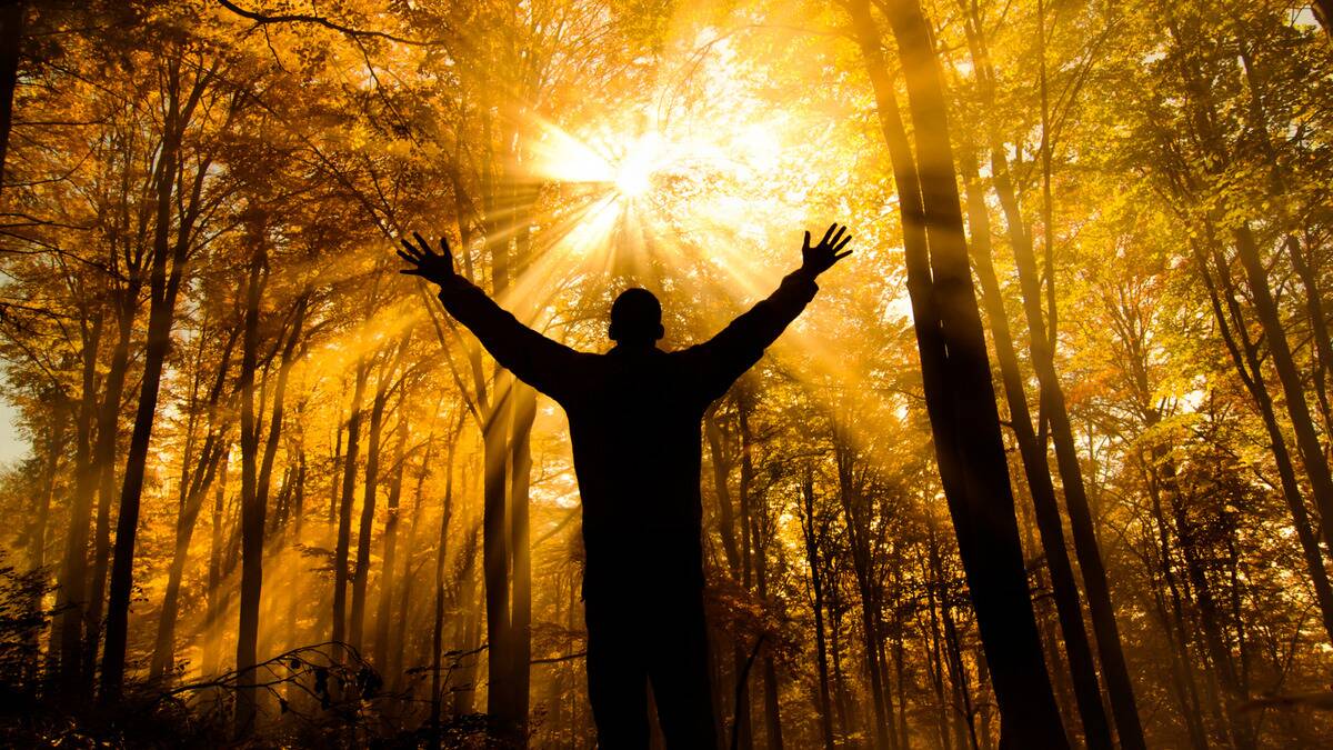 A silhouette of a man standing in a forest, the sun shining through the leaves, hands up in a prayer motion.