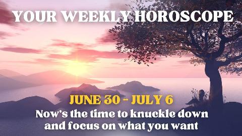 A foggy landscape shot of some small, hilly islands in a body of water. In the foreground is a tree with some reeds beneath it. There's text that reads, 