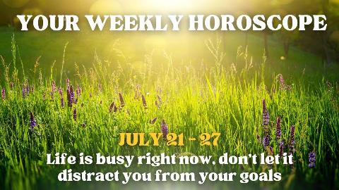 A patch of tall grass and purple flowers being shone on by bright sunshine, there's text on top that reads, 