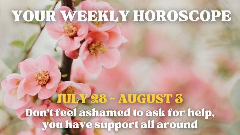 The background is a close shot of a tree branch with small pink flowers blossoming on it. There's text on top that reads, 