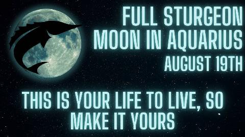 A glowing blue full moon with a silhouette of a sturgeon overtop of it.  There's glowing blue text that reads, 