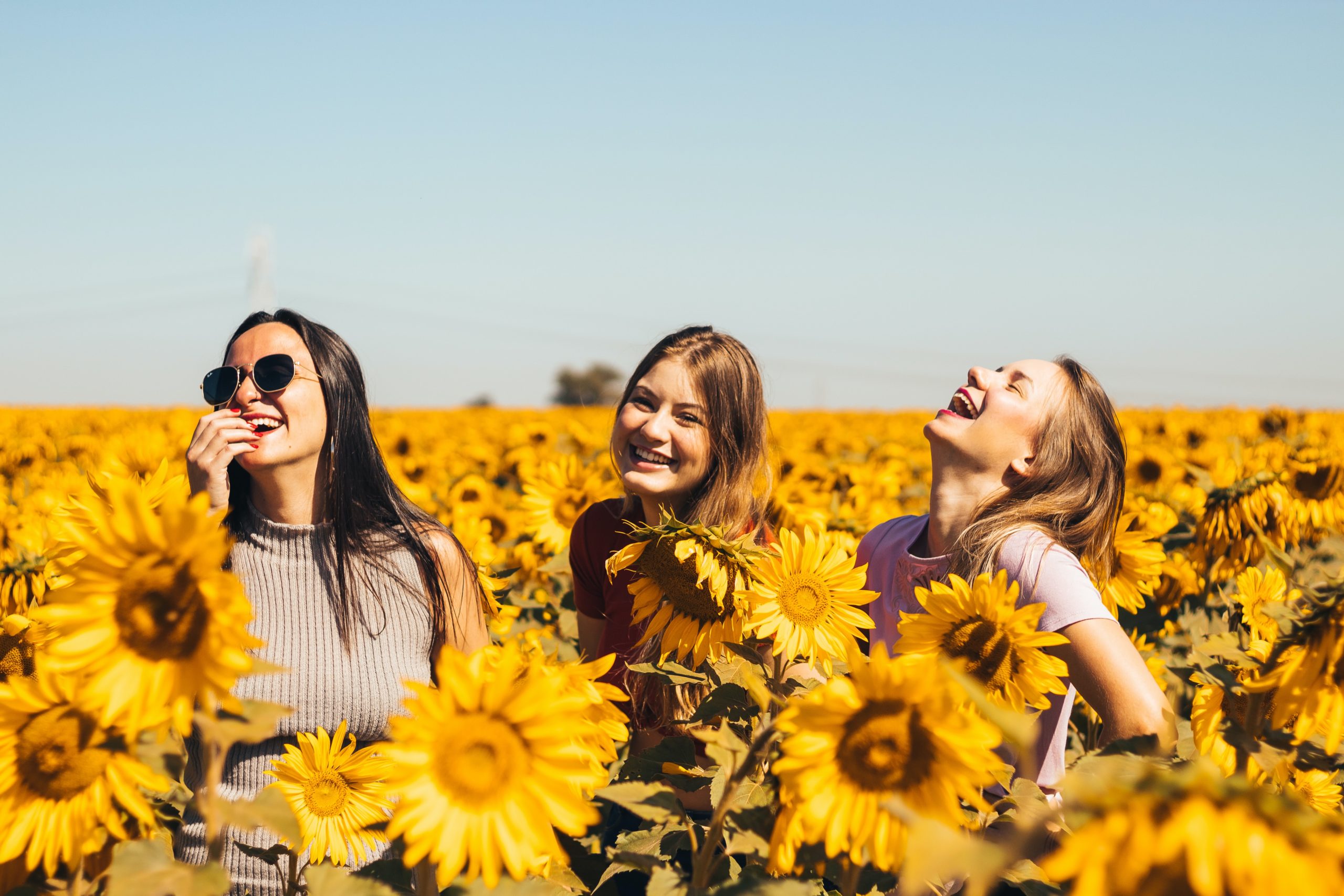 Three women smiling as they stand among a field of sunflowers.