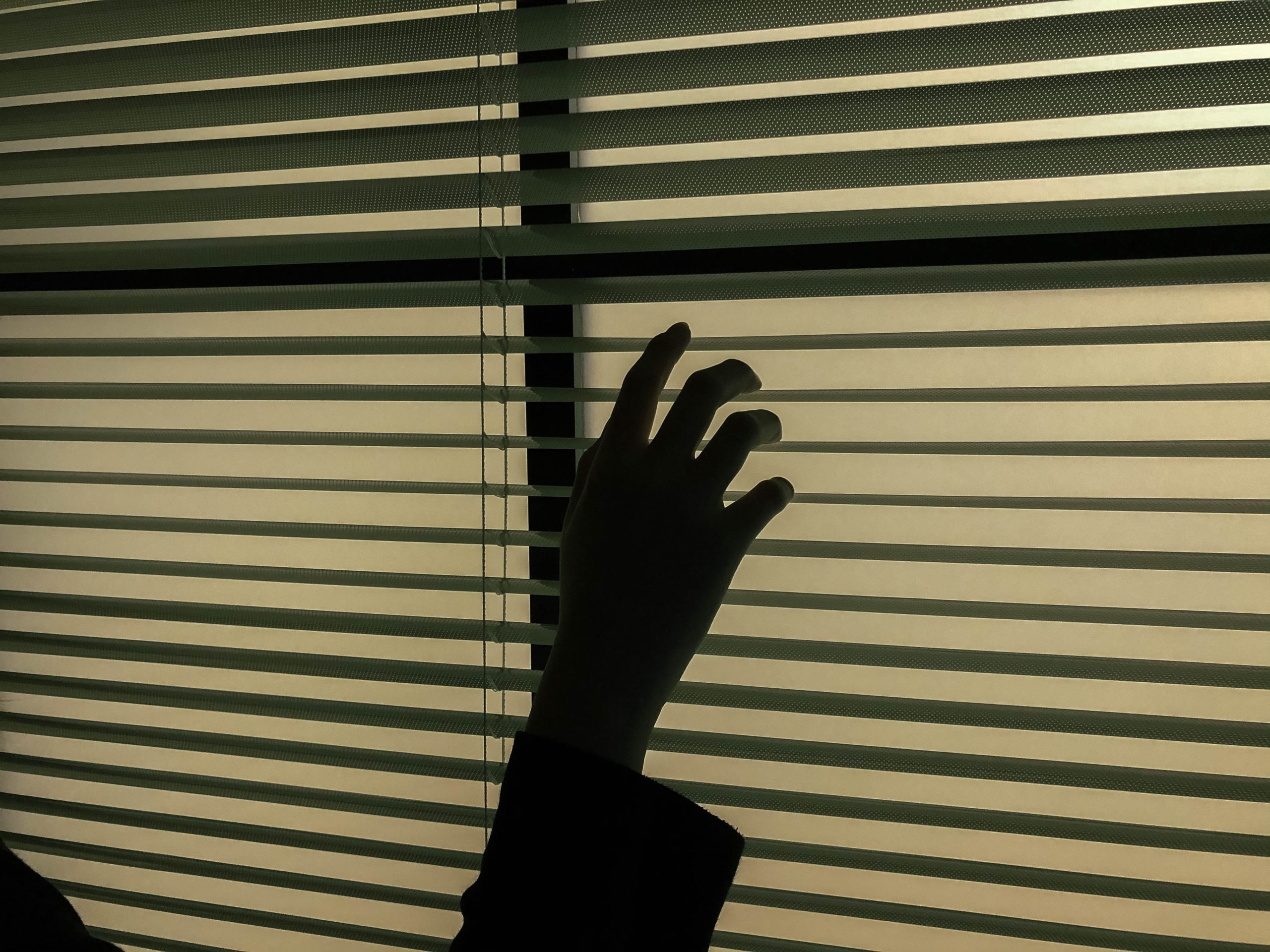 A hand against lowered blinds.