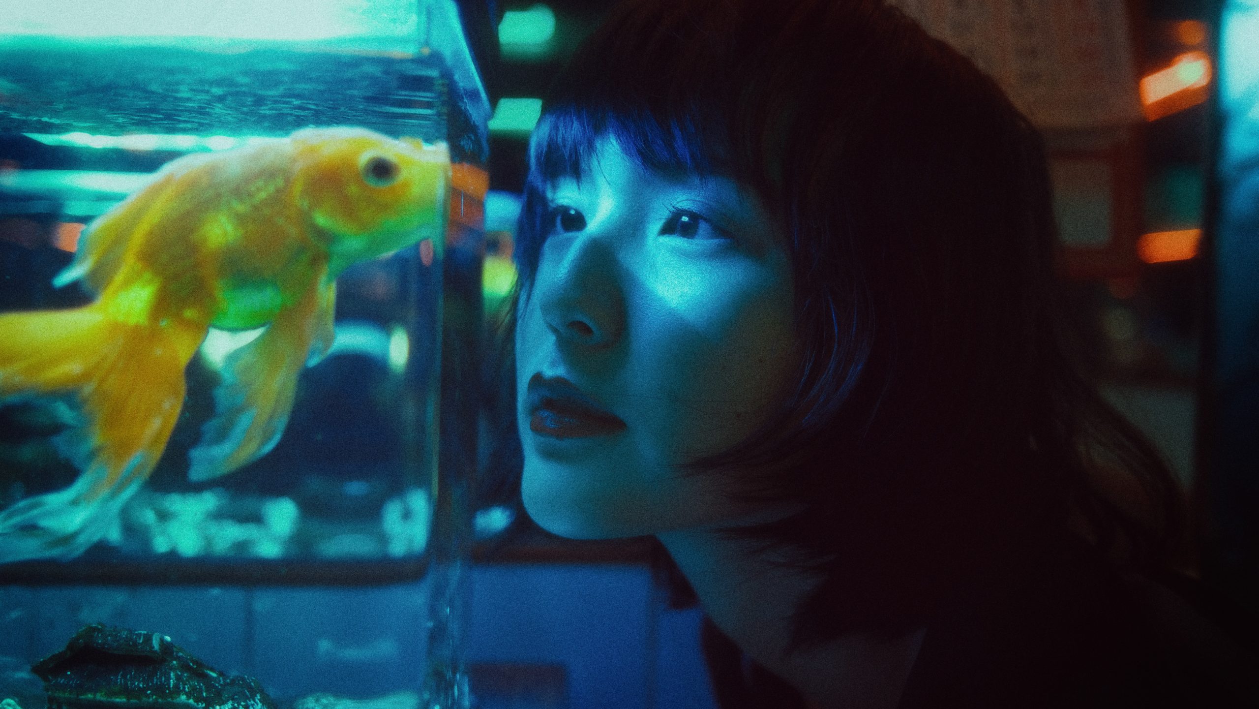 A woman closely inspecting a fish in a fishtank under blue light.