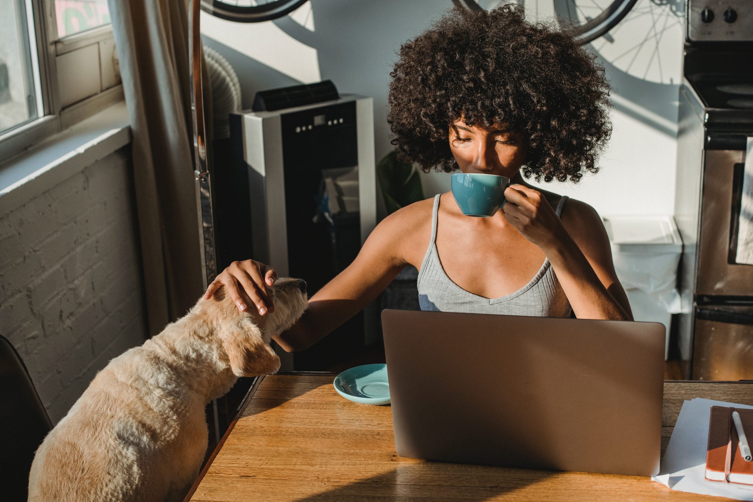 A woman sitting at her laptop, sipping from a mug, and petting her dog.