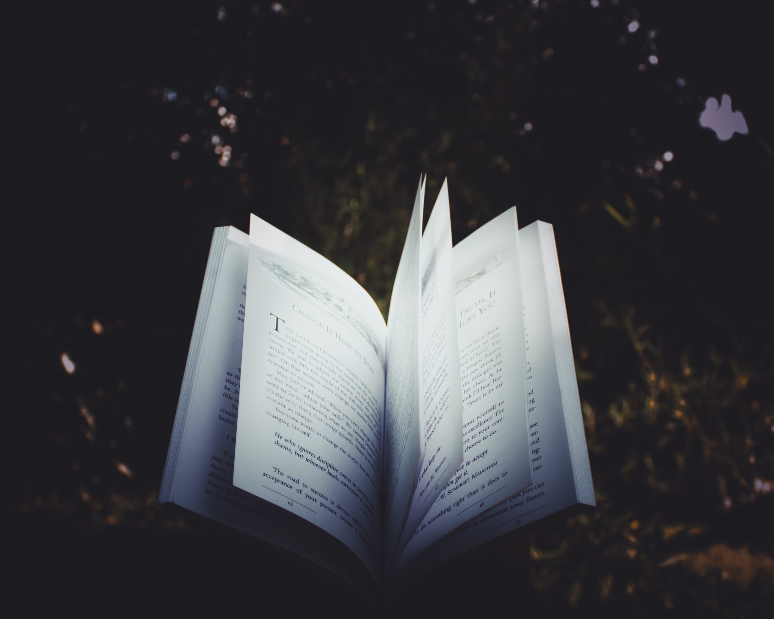 A half-open book on the dark forest floor.