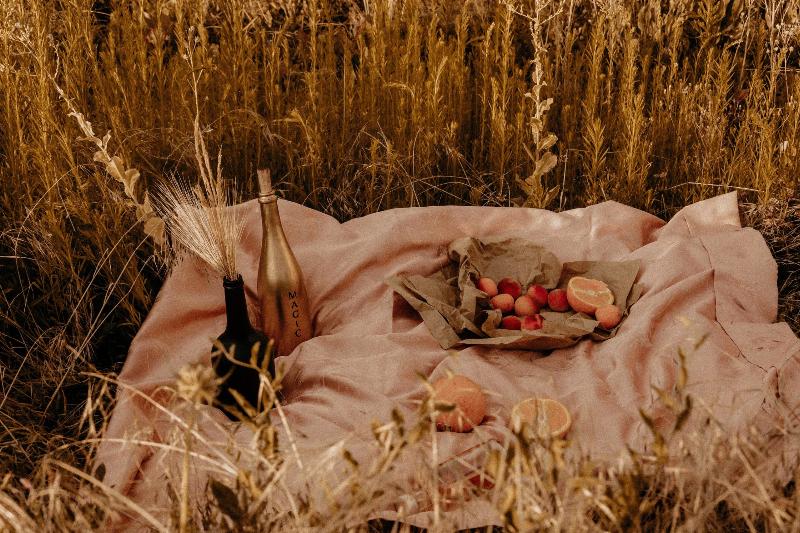 fall picnic in a field with champagne, fruit and a blanket