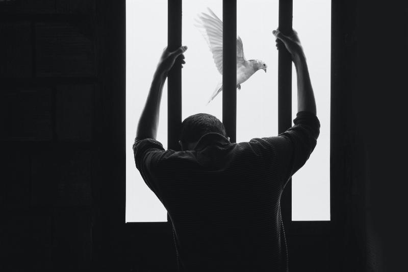 man holds prison rails as pigeon flies by