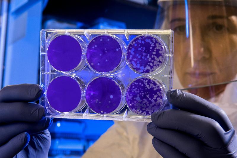 woman in lab attire holding purple virus samples