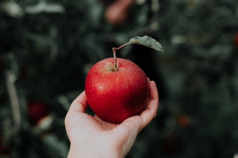hand holding red apple