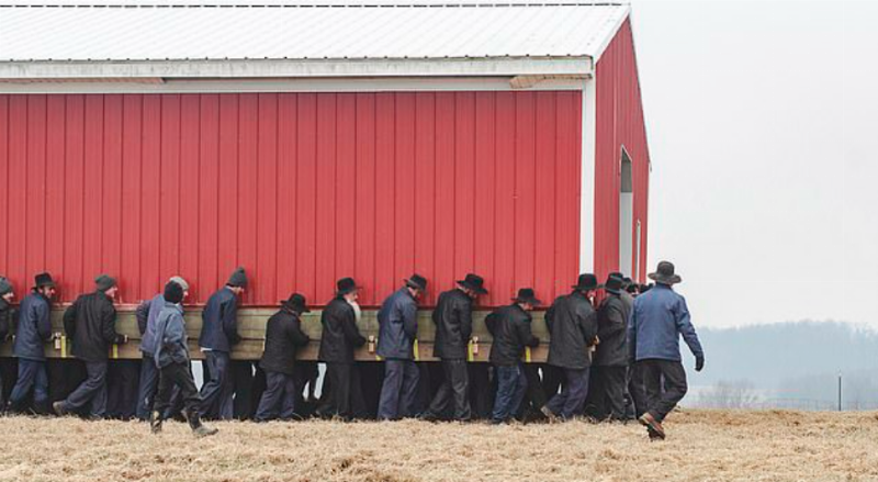 grup of men carry barn