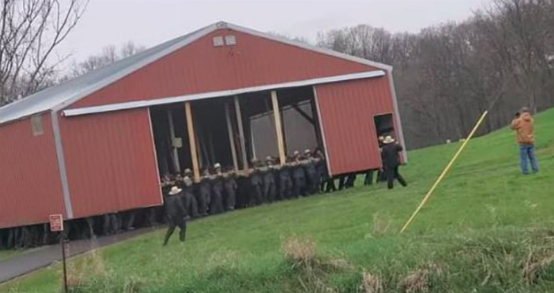 grup of amish men walking with barn