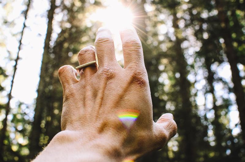 hand reaching out to sunlight between trees with rainbow reflection on it