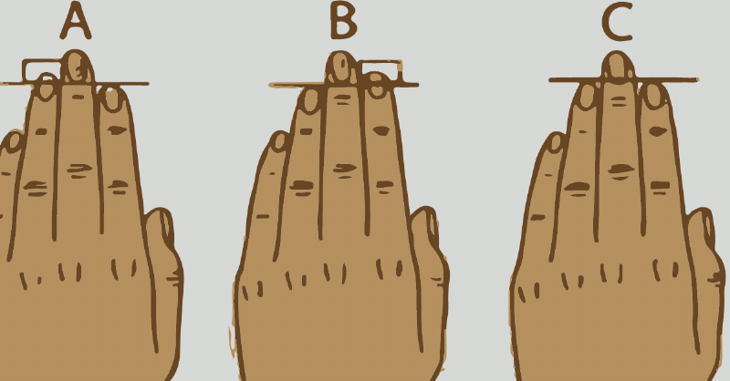 length of fingers drawing