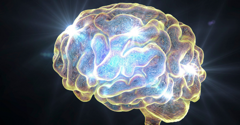 lit up brain scan