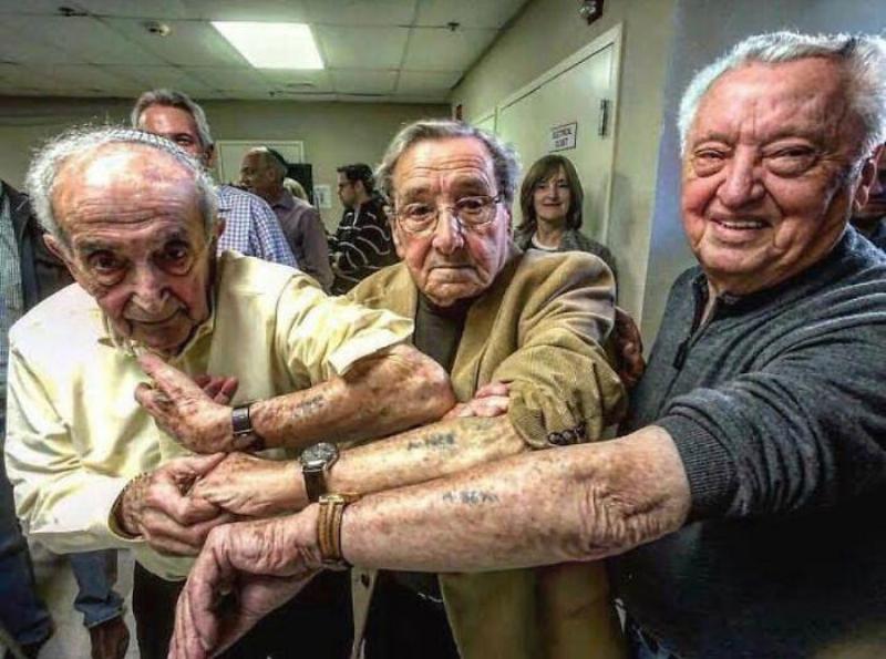 Three Jewish Men Who Arrived At Auschwitz On The Same Day show their arms