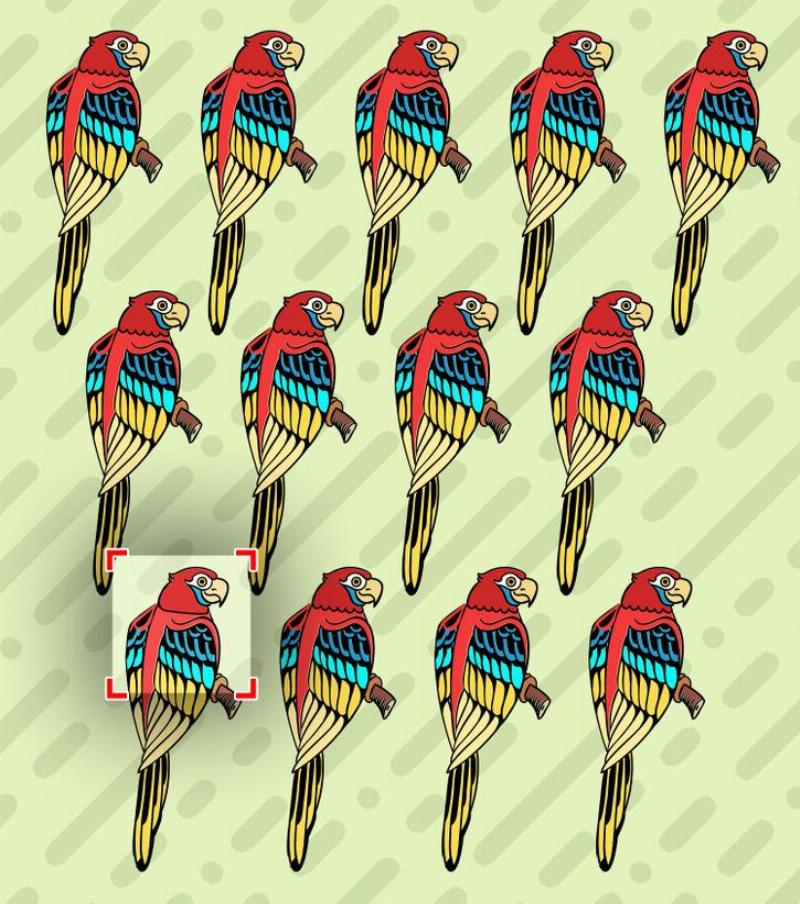 line of parrots with red answer