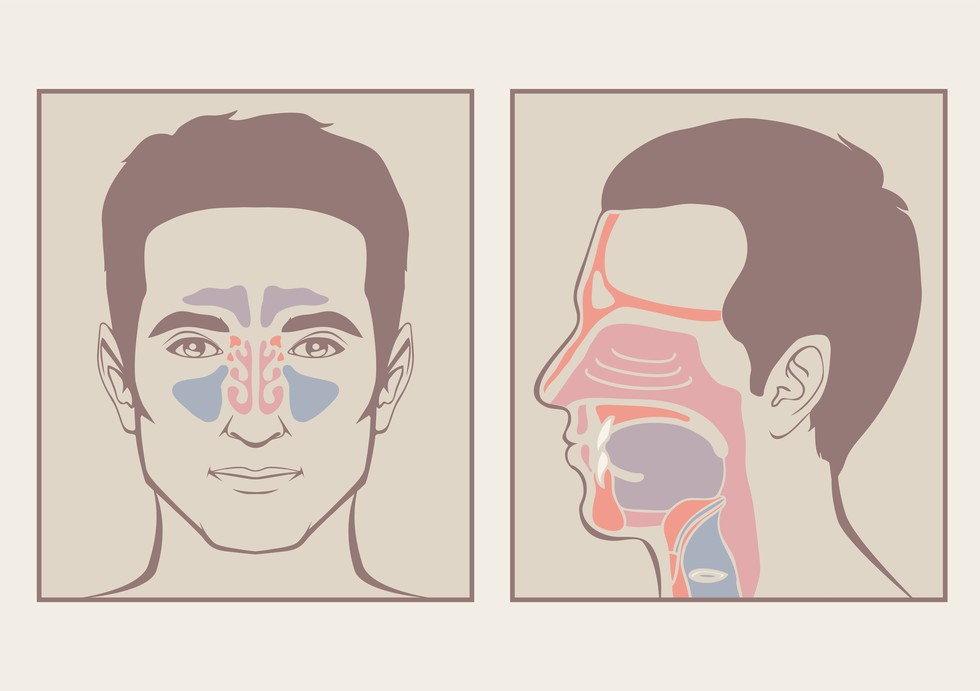 Simple Technique To Immediately Clear Your Sinuses