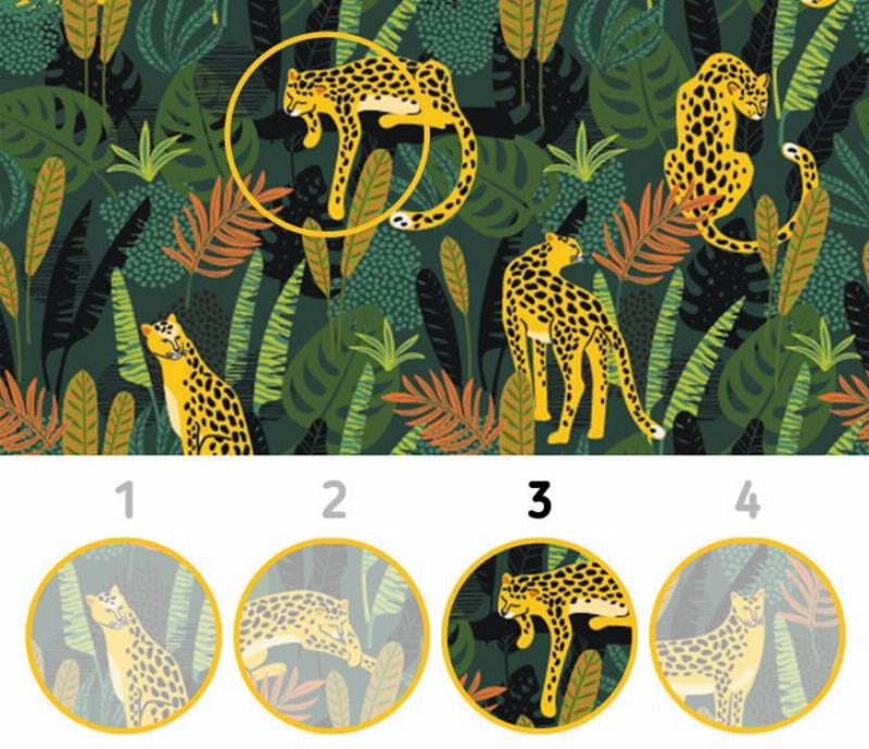 Vestor seamless pattern with leopards and tropical leaves. Trendy style. with 4 options underneath and answer non blurred