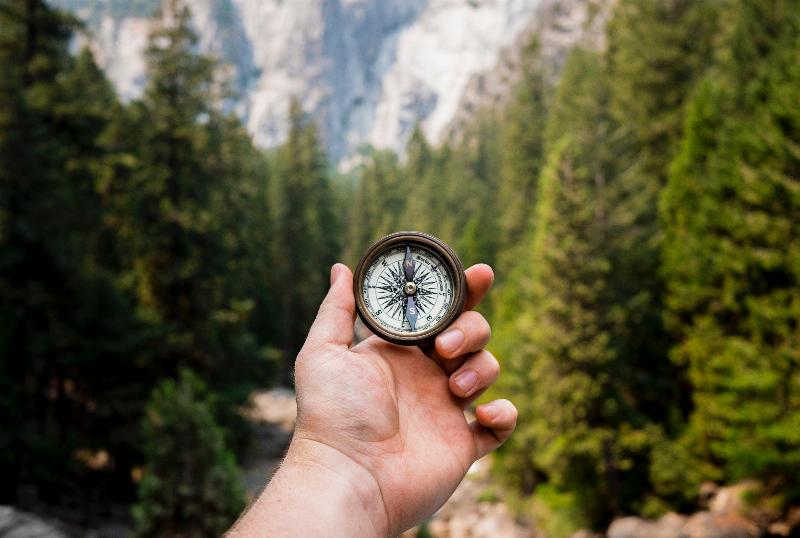 hand holding compass in the middle of a forest